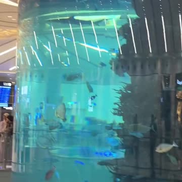 WHAT SHAMEFUL HEATHROW COULD LOOK LIKE IF!!!