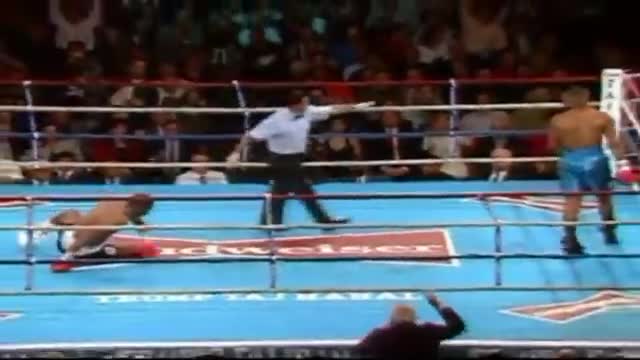 Roy Jones Jr. _Perfect Fighter_ Highlights