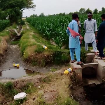 THE TALENT VIDEO IN USA AMERICA ALON MASK VERY DANGEROUS PERSON SORRY