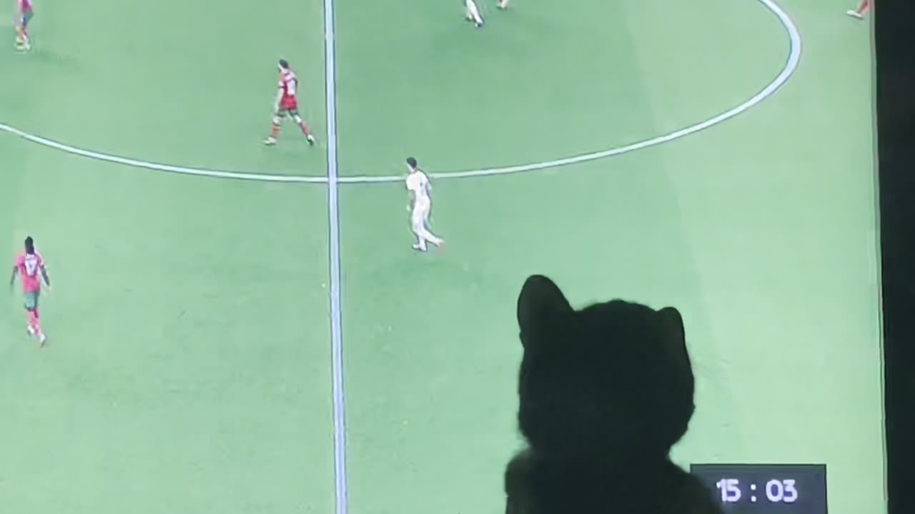 Elvis wants to play football