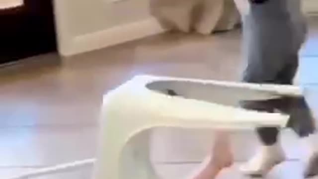 HahHAHAHA 😂😂😏😏😭😭😘❤️😂