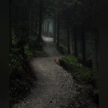 Journey of nature with beautiful photography and beautiful scenes🌿🌾🌴☘️🌴