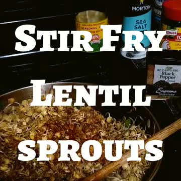 Stir Frying Lentil Sprouts