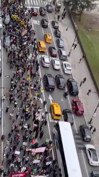 Anti-Israel protesters take to streets of New York City to ruin New Year’s Eve