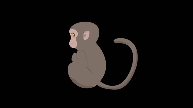 simple flat painting windmast animal monkey mg animation