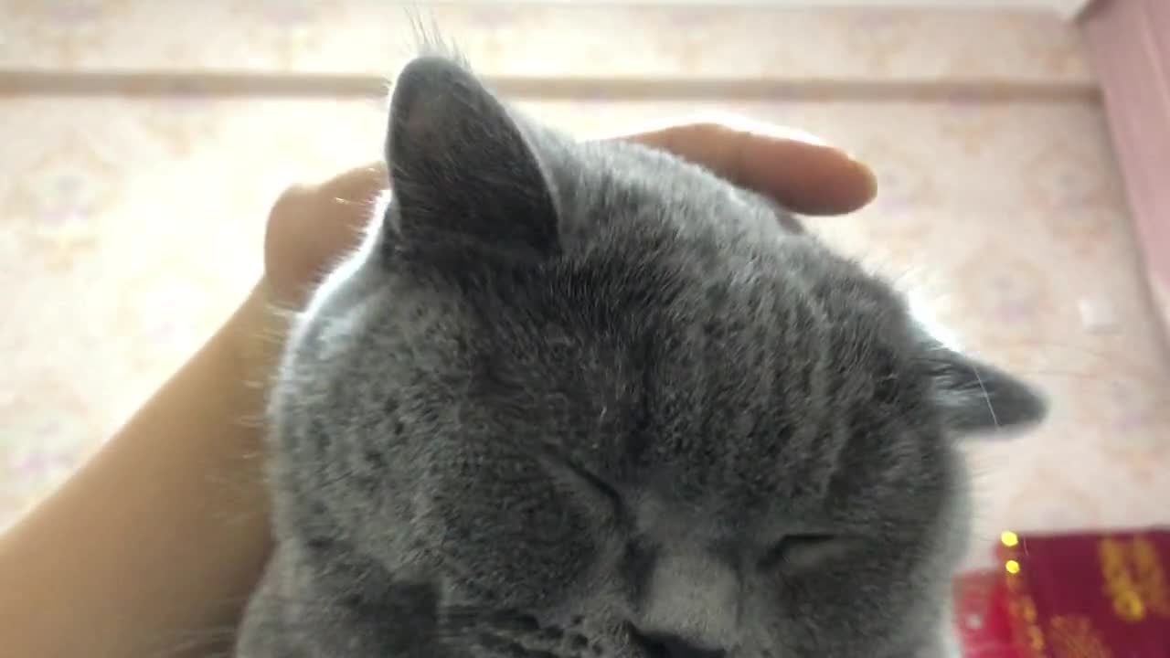 Cute and cute