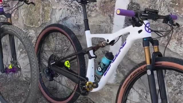 1293# MTB FS Bike check