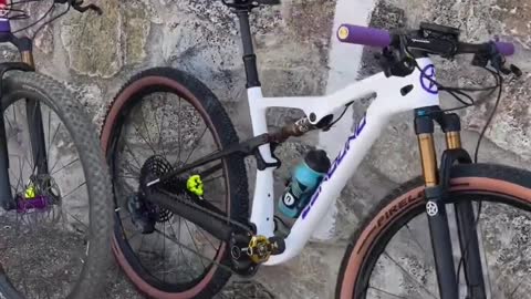 1293# MTB FS Bike check