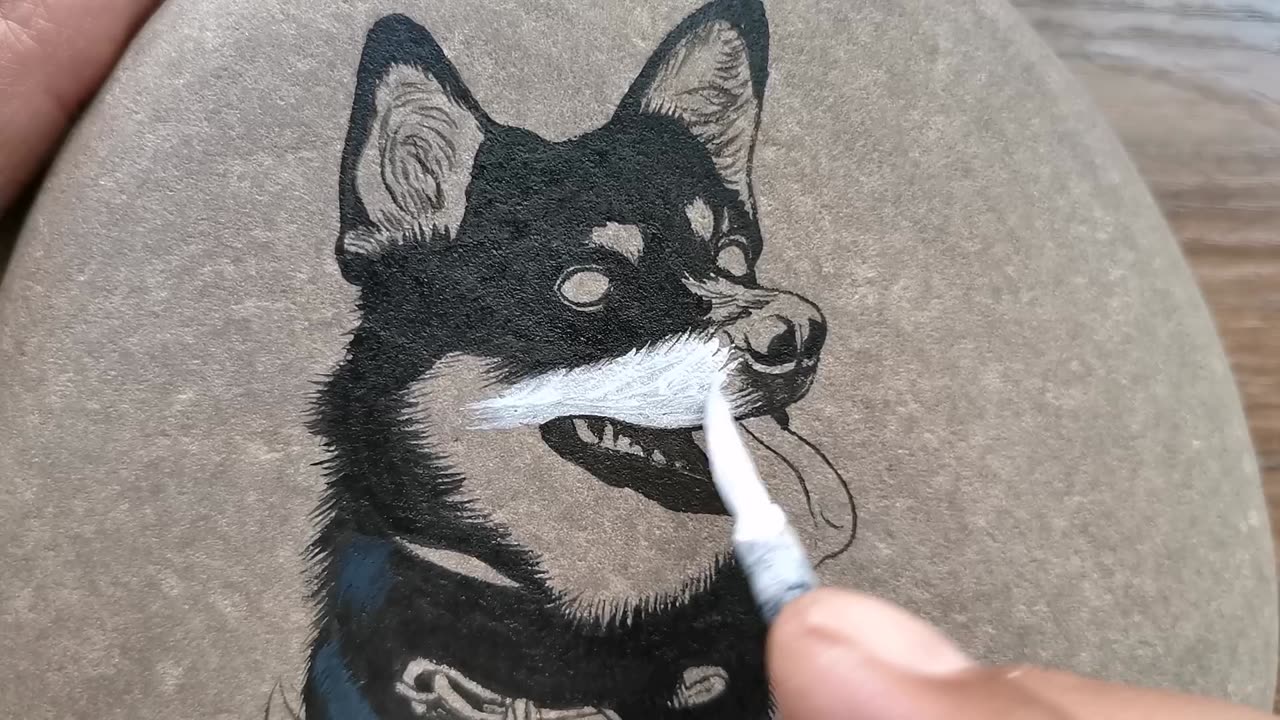 How to make on stone a dog sketch