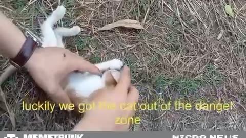 Humanity is good❤️