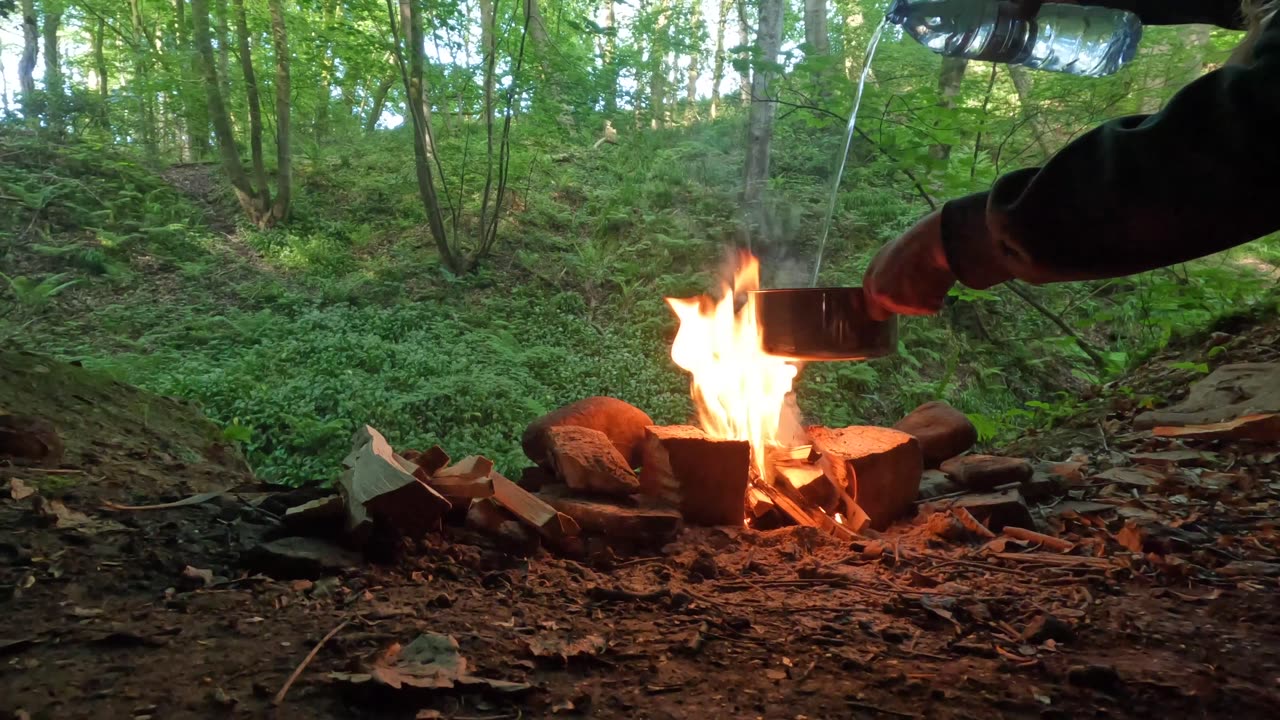 Cooking Chicken of the Woods