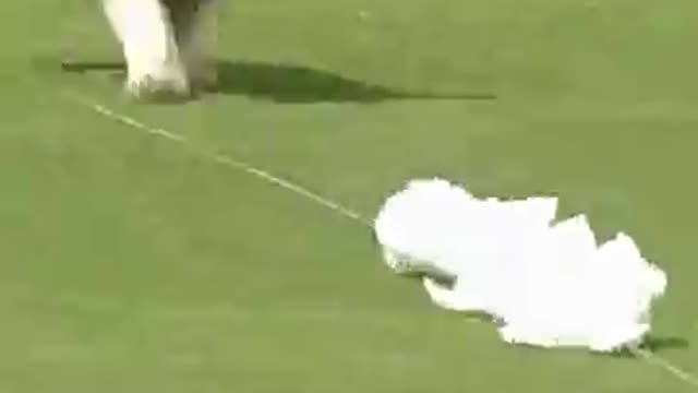 Not the fastest time but the CUTEST time 🥺