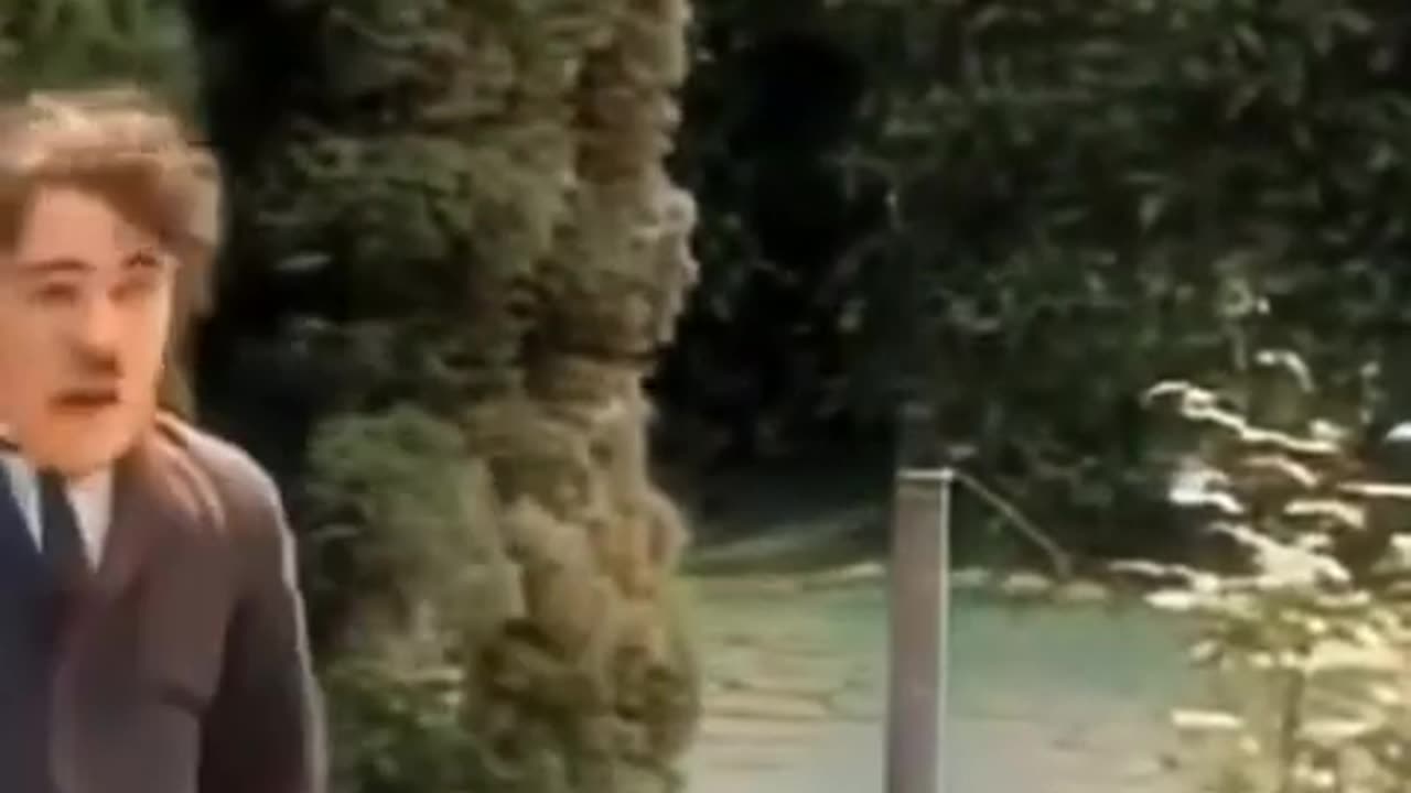 Funny video