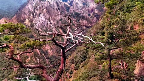 seorak mountain in korea