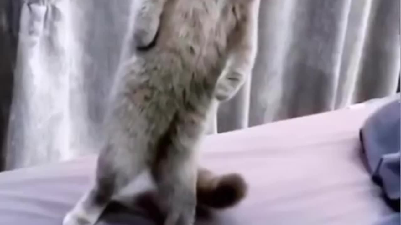 Wait a watch a few minutes #short