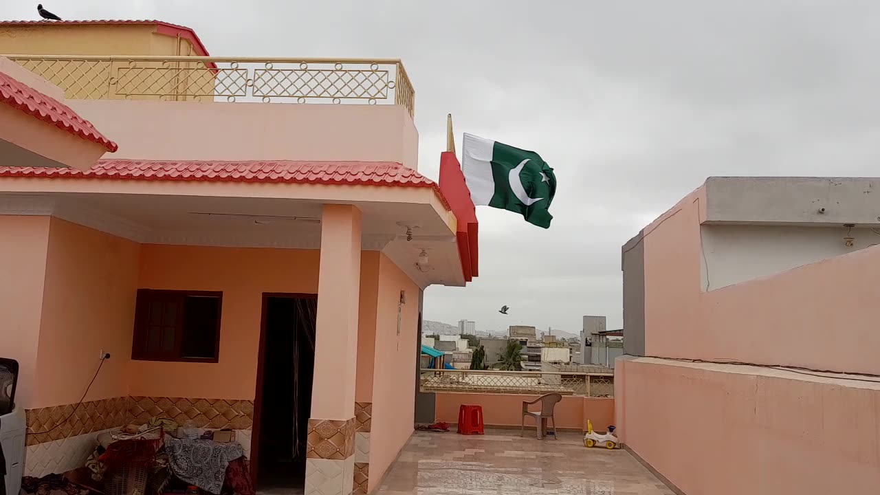 Pakistani Flag