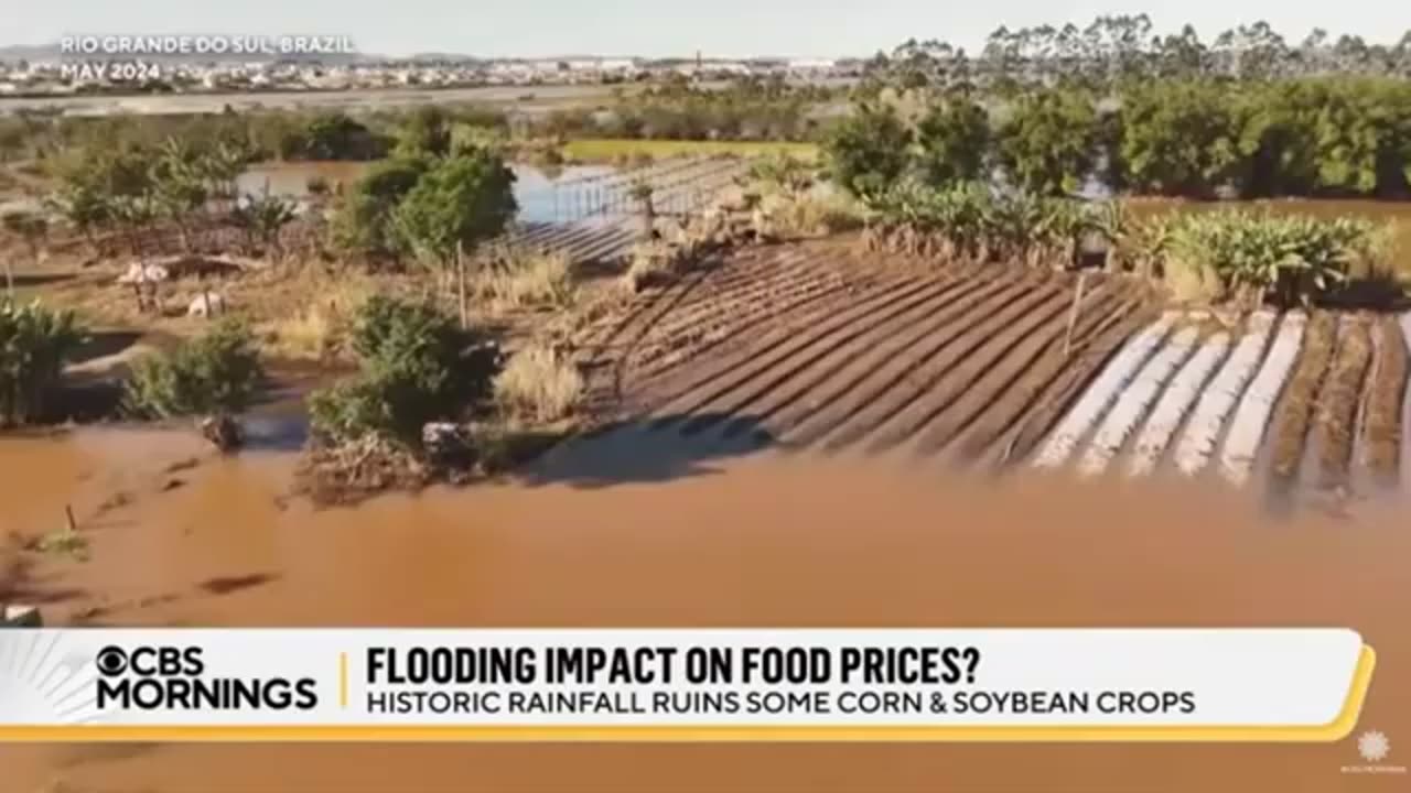 Farm to Famine (Brace for Skyrocketing Food Prices & Global Grain Shortages)