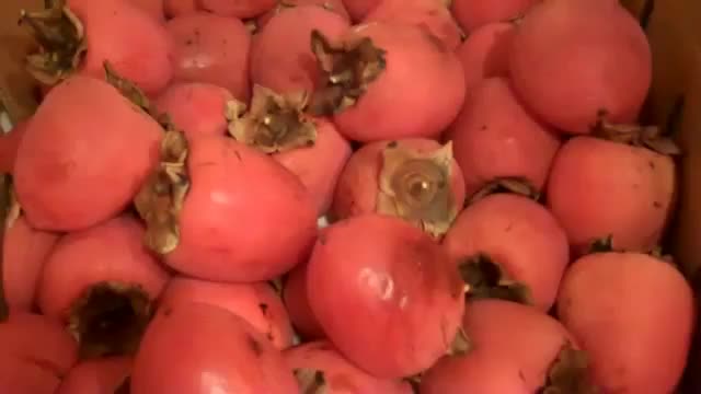 FREE RAW FOOD - Jan 17th 2012