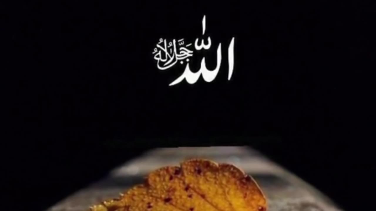 ALLAH 💖 | Islamic Message of the Day