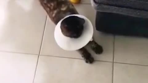 Cute Moment