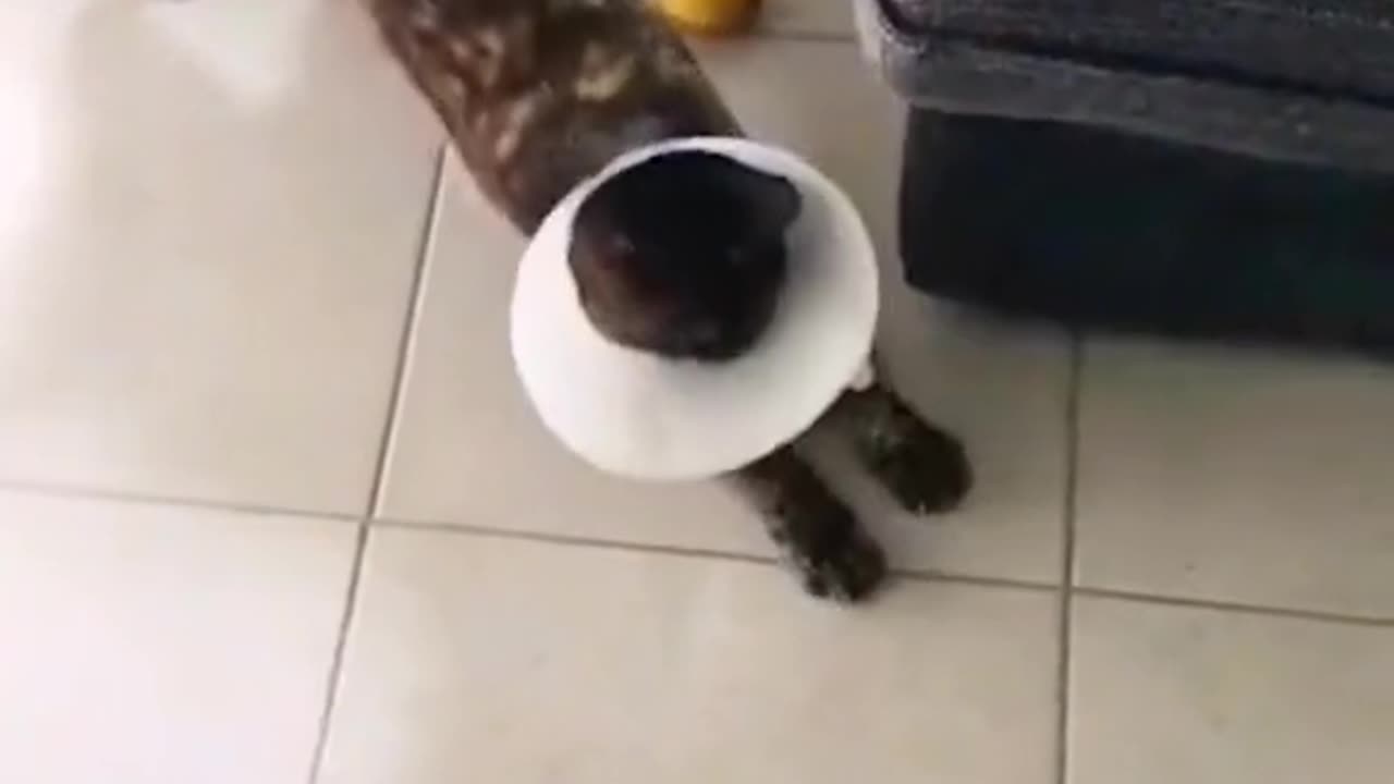 Cute Moment