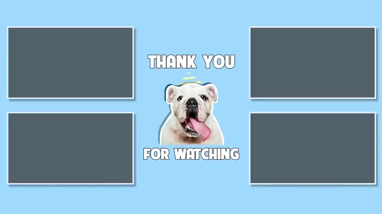Funny video dog dog funny video 2023 best funny video