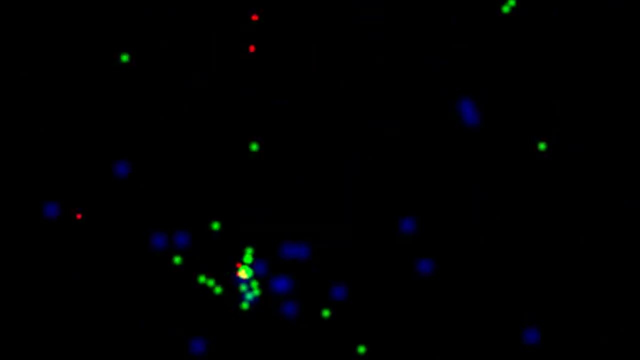 Fermi LAT movie of Gamma-ray Burst (GRB) 080916C