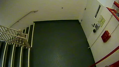 8403OHOB03Stair4_2021-01-06_17h10min40s127ms.mp4
