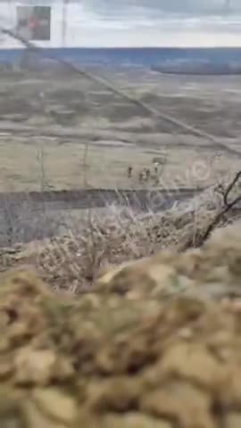 Ukrainian Deserters shot in the back by their fellow Ukrainian soldiers!!