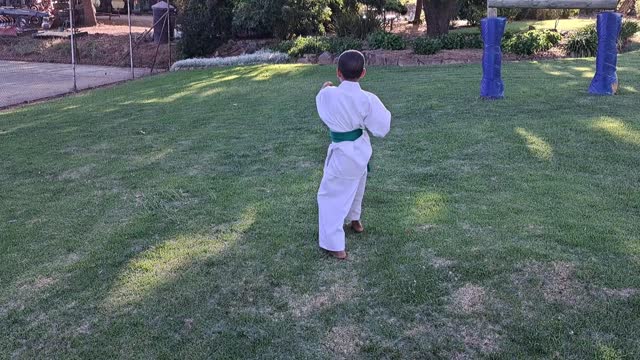 B3 - Ethin Pedro - Green - Pinan Nidan