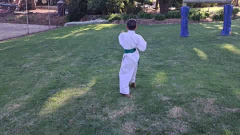 B3 - Ethin Pedro - Green - Pinan Nidan