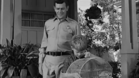 The Andy Griffith Show | Opie the Birdman | By Amir Hussain