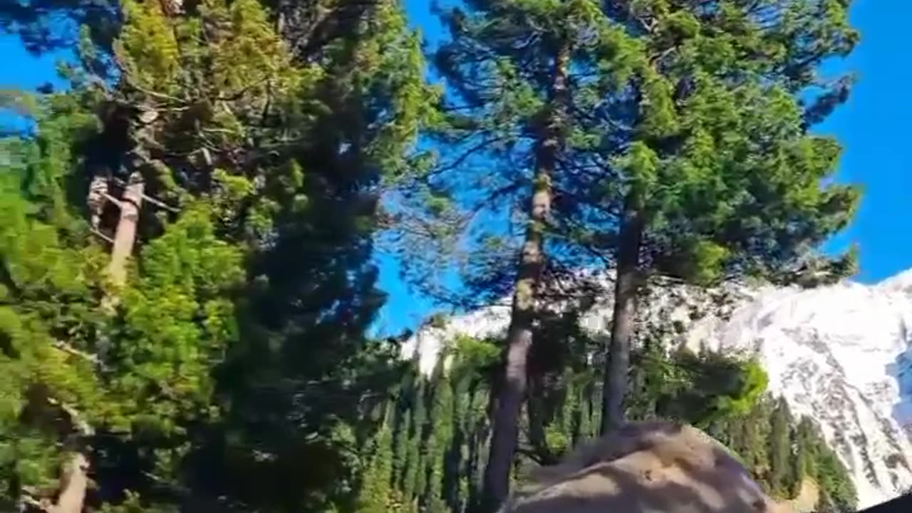 My firstvlog #kashmirvlog #viral2023