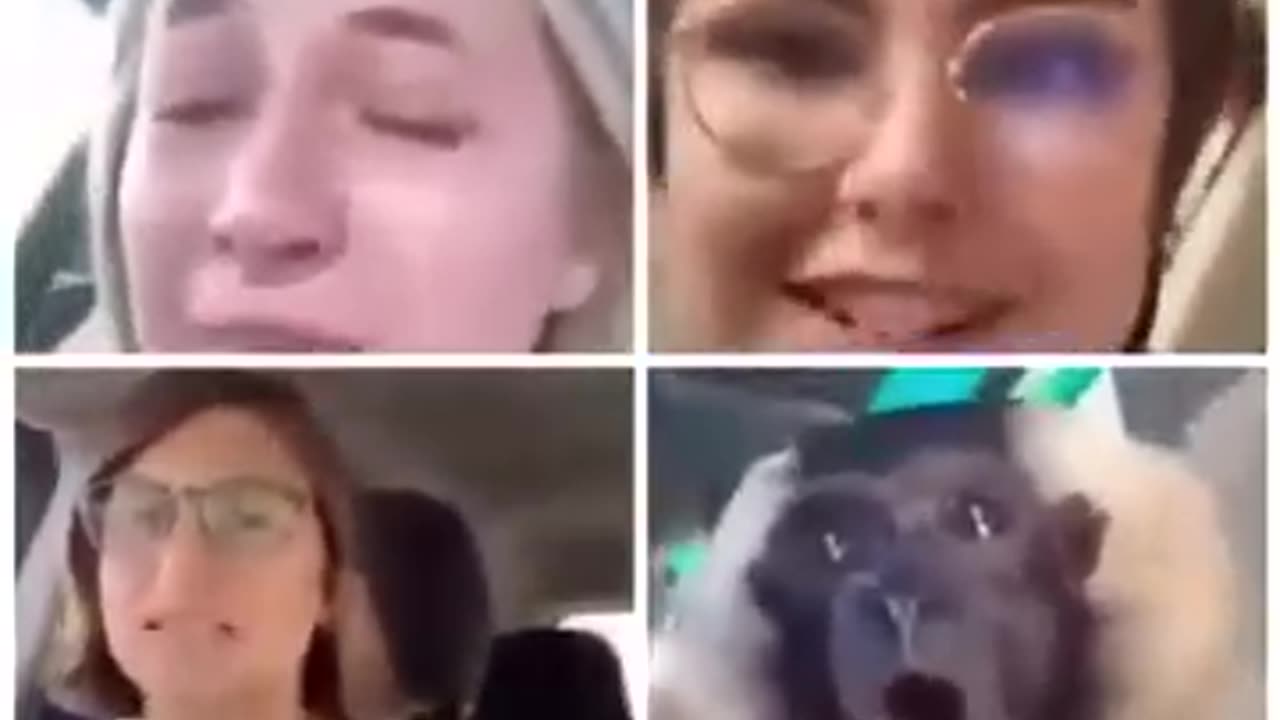 CNN REPORTERS MELTDOWNS🎭AFTER TRUMP WON🏆TOWN HALL DEBATE😅🥇