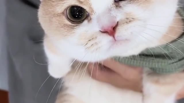 😻😻😻