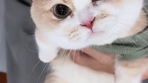 😻😻😻