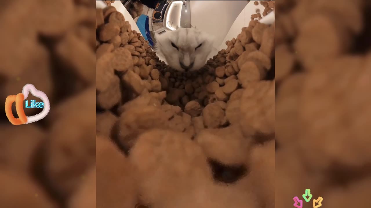 Does your friend have something similar to it when eating?