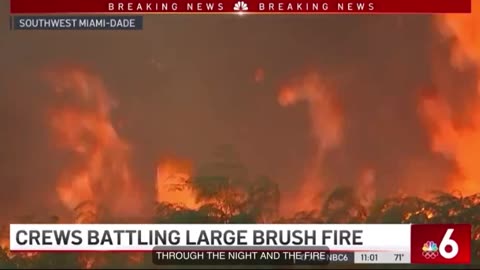 Miami Dade Florida Brush Fire