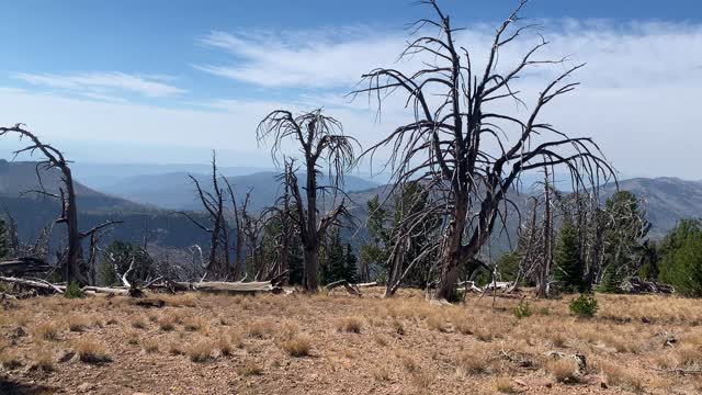 Eastern Oregon – Strawberry Lake + Wilderness – Lunch Spot