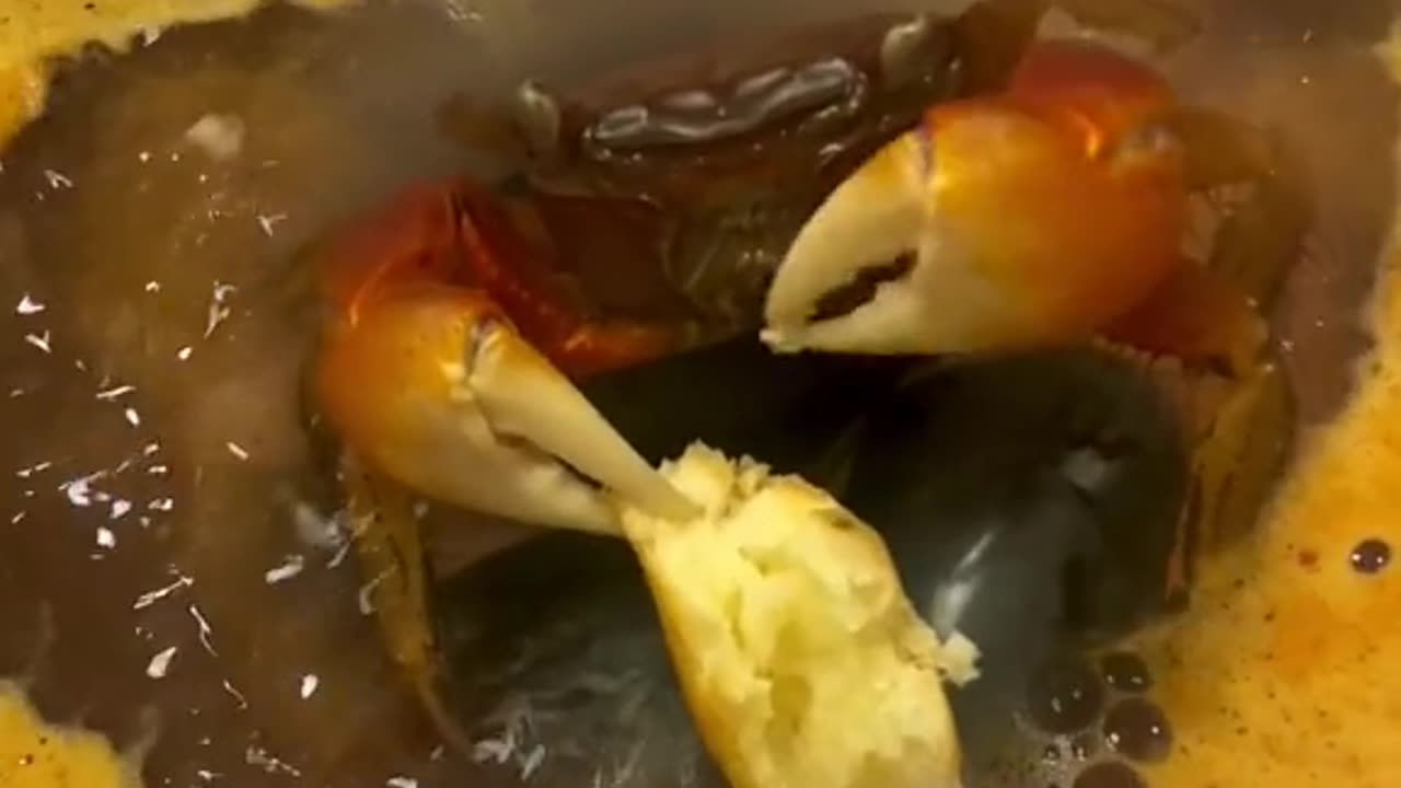 Crab 🦀 is taste her meat 🍖