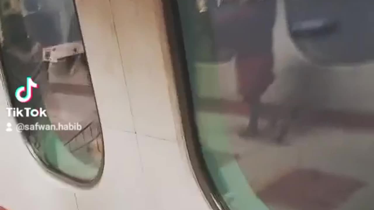 Journey diaries