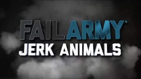 Animals Can Be Jerks! Funny Video | FailArmy