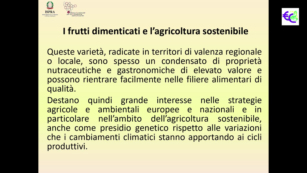 Convegno Semi e Frutti Antichi (11 Aprile 2019) - 06 - Bianco