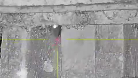 Farmyard ratting 4