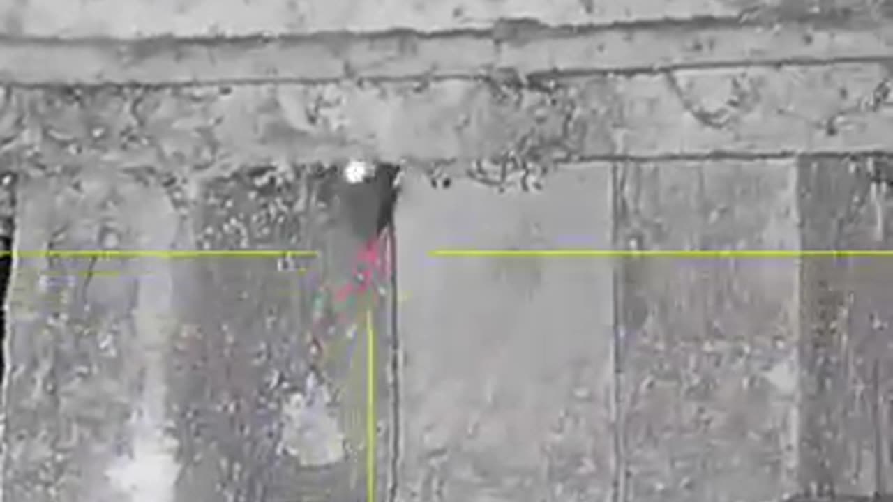 Farmyard ratting 4