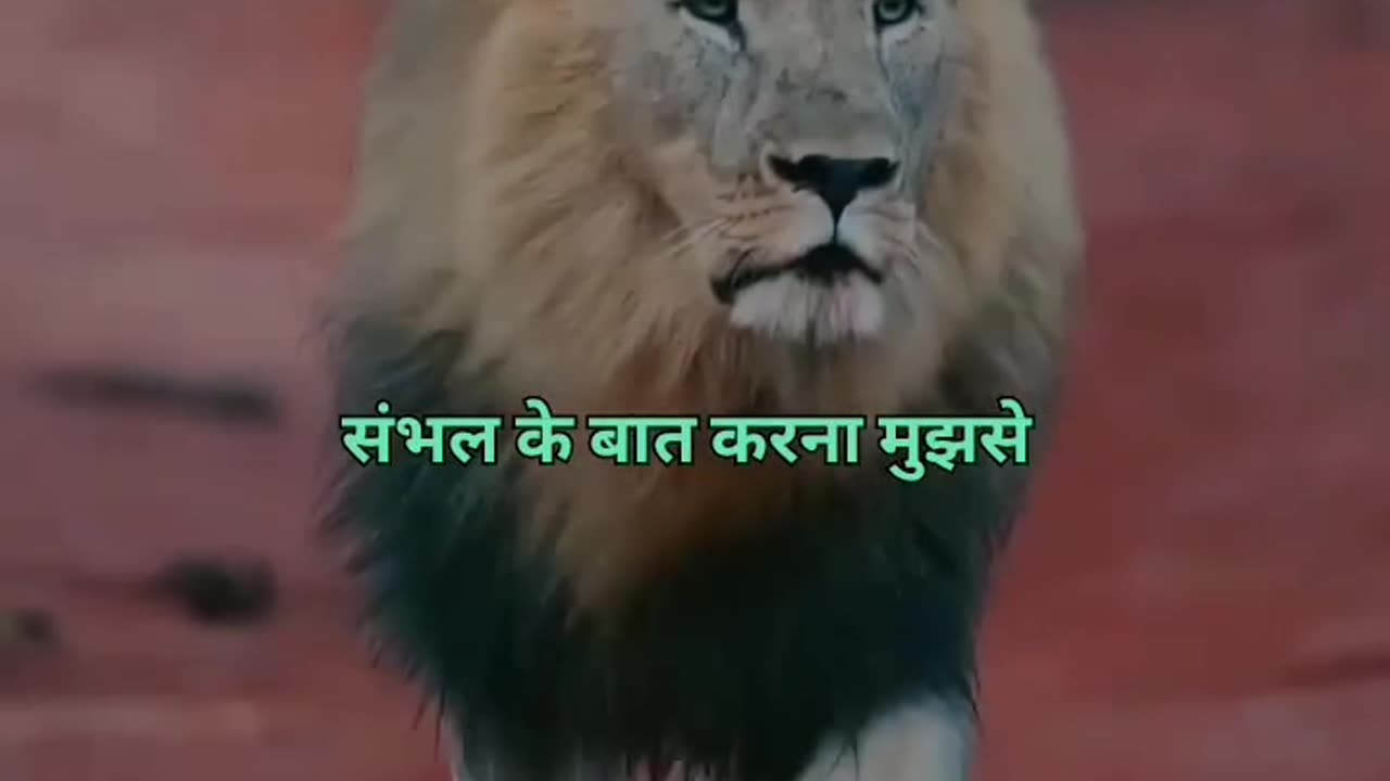 Study motivation video #nwe