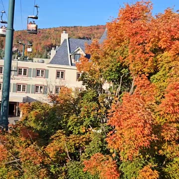 Beautiful Autumn Fall Color View in Quebec Canada
