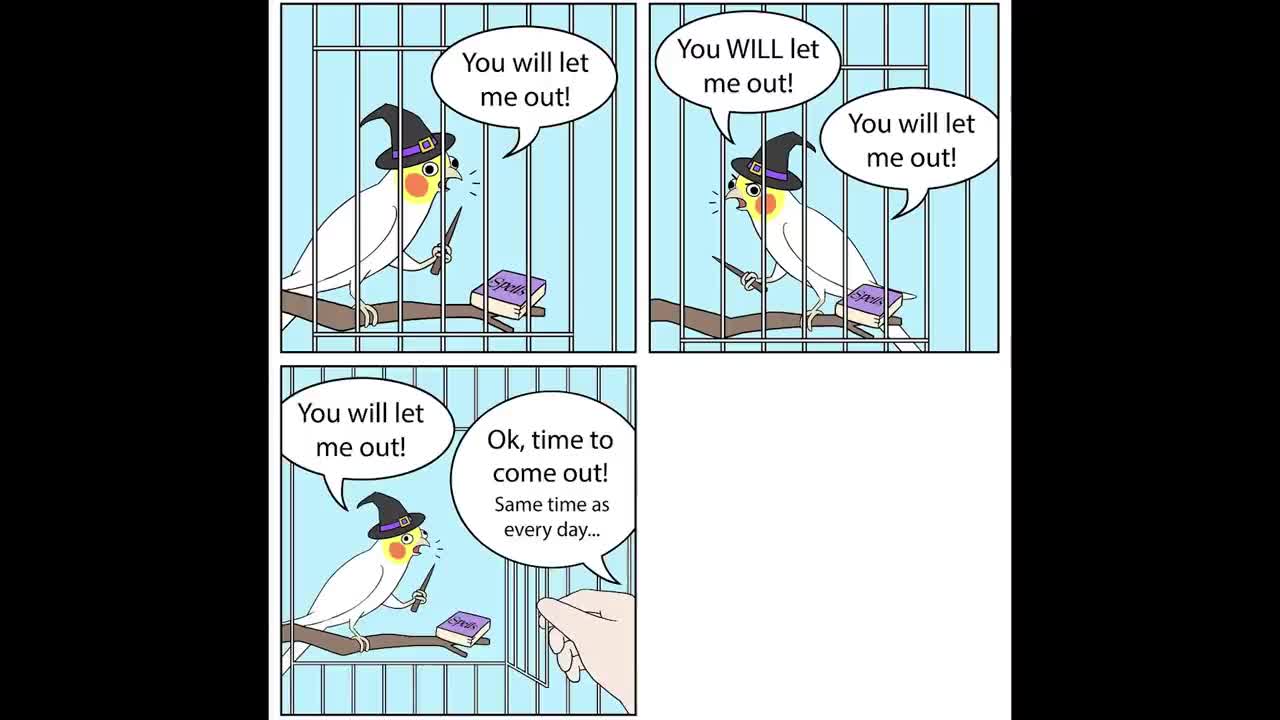 Comics With A Parrot Twist