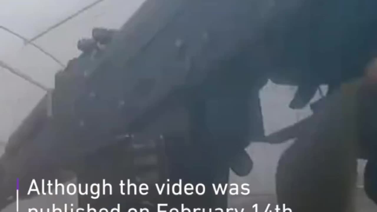 Hamas has released a video showing Qassam fighters killing two Israeli soldiers