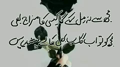 Best poetry from leading poetry